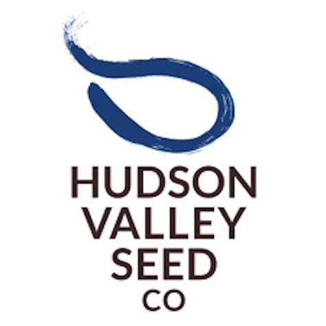 Hudson valley seeds - Price as selected: $4.79. Watermelon Radish is your best shot at eating a local watermelon in January. Planted in late summer, these large radishes ripen in mid- to late fall, storing up the season's remaining light and vibrant colors before they fade. Harvested around first frost and stored somewhere cool, these roots add bright …